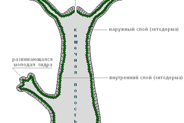 Kra9.at