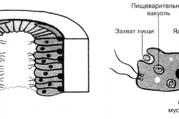 Кракен 17