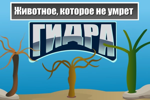 Как найти кракен шоп